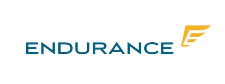 Endurance Logo